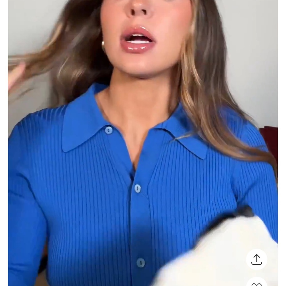 ISO: Aritzia Blue Top